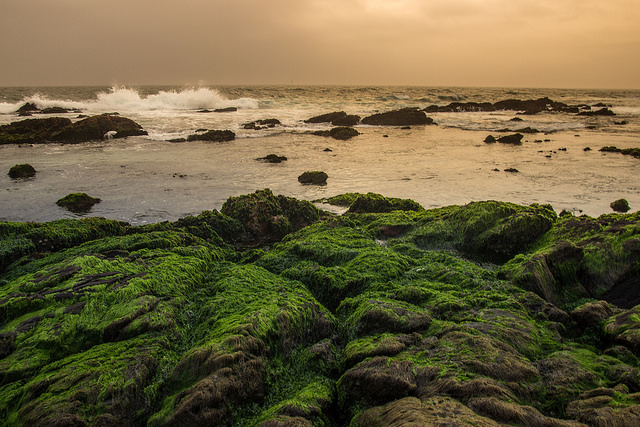 20105306096_38ac140427_z